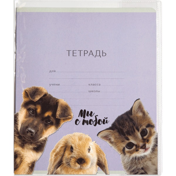 Обложка для тетрадей "deVENTE. Друзья" 209x350 мм, для тетрадей шириной 170 мм, ПВХ 120 мкм, плотная, прозрачная с цветным рисунком, 3 шт в пластиковом пакете