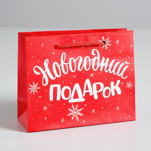 Пакет ламинированный горизонтальный «Новогодний подарок», S 5.5 см × 15 см × 12 см