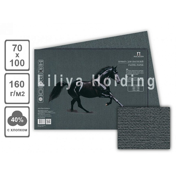 Бумага для пастели 70*100 160г "Палаццо" Graphite" (графит)  Цена за 1 лист (10 л.)