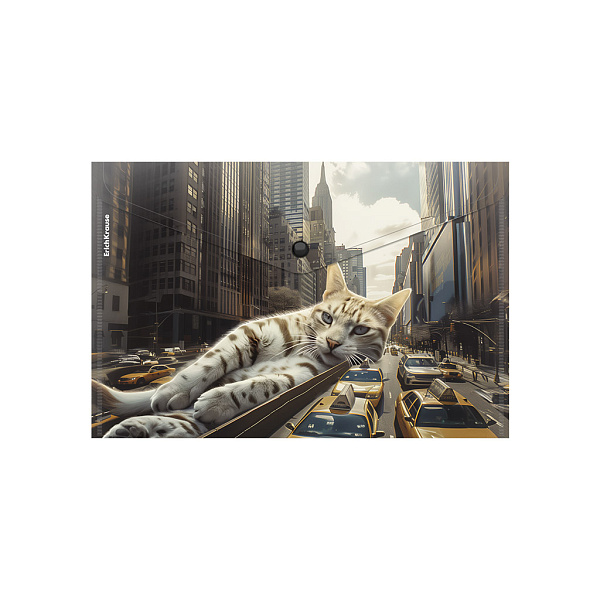 Папка-конверт на кн. А4 ErichKrause Big City Cats, ассорти (в пакете по 12 шт.)