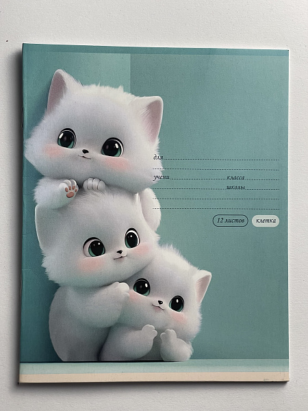 Тетрадь 12 листов в клетку обложка из мелованного картона (200г/м2), блок офсет (92%, 60г/м2), микс 5 видов