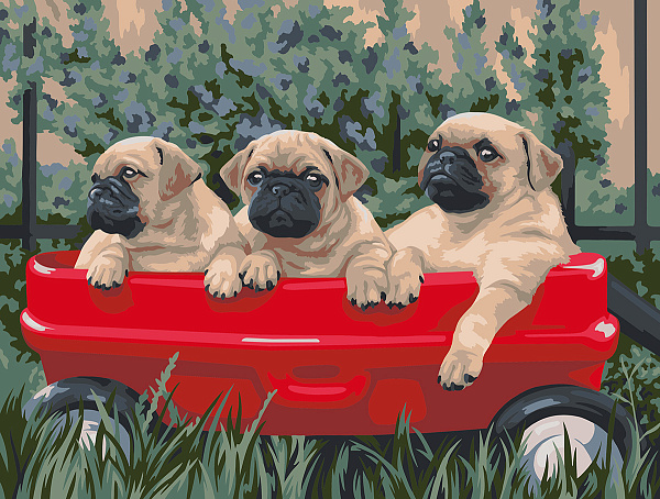 Картина по номерам 30*40 "Мопсы" "ФРЕЯ"  №08