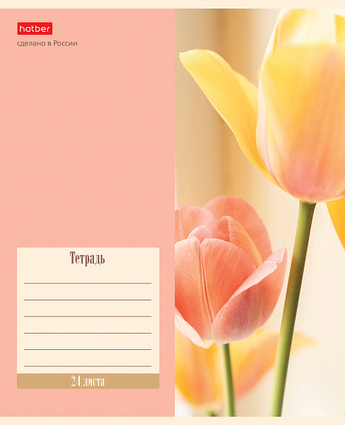 Тетрадь 24 листа в линию "Flowers" 5 диз.в блоке скругленные углы