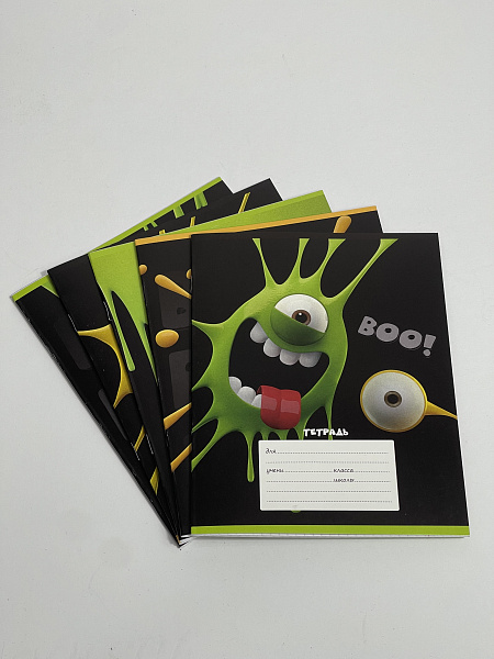 Тетрадь 12 листов в клетку обложка из мелованного картона (200г/м2), блок офсет (92%, 60г/м2), микс 5 видов