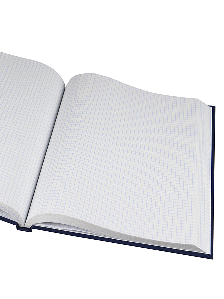 Книга учета 160 л. кл. СИНЯЯ, переплёт 7БЦ, глянц.ламин., блок-офсет, 200х298