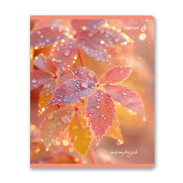 Тетрадь 48 л. кл. "Капли росы" выборочный лак, A5 на скобе 65 г/кв.м, белизна 100 % 01490 "Светоч"