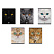 Тетрадь 96 листов в клетку "Cats", матовая ламинация  ErichKrause _MIX-PACK