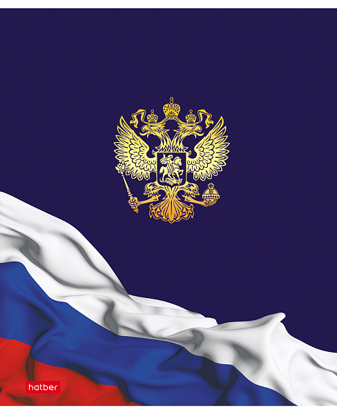 Тетрадь 48 листов в клетку "Я люблю Россию" 60-65г/кв.м на скобе Обл. мел.картон 5 диз.в блоке скругл.углы