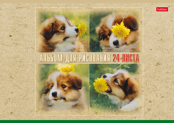 Альбом для рисования 24 листа "Ассорти"