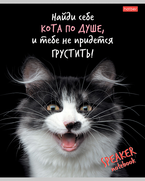 Тетрадь 40 л. кл. "Кот говорит" на скобе  65г/кв.м 