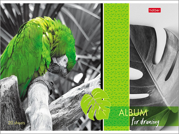 Альбом для рисования 20 листов "Изысканность цвета"