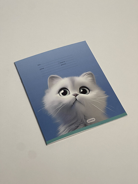 Тетрадь 12 листов в клетку обложка из мелованного картона (200г/м2), блок офсет (92%, 60г/м2), микс 5 видов