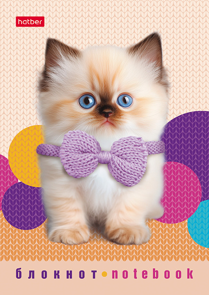 Блокнот А6 24 л. кл. "Песики и котики" на скобе Обл. мел.бумага глянц. ламин. 8 дизайнов в блоке