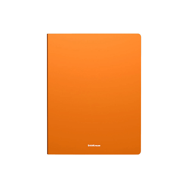 Папка 4 кольца 24 мм А4 ErichKrause Matt Neon, ассорти