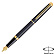 Ручка  перьевая "Waterman Hemisphere Matte Black GT F ст.нерж. подар.кор.