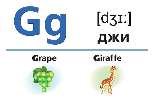 ИГРА Развивающая 64 карточки А5 "Английский алфавит и числа" 80х120мм в коробке