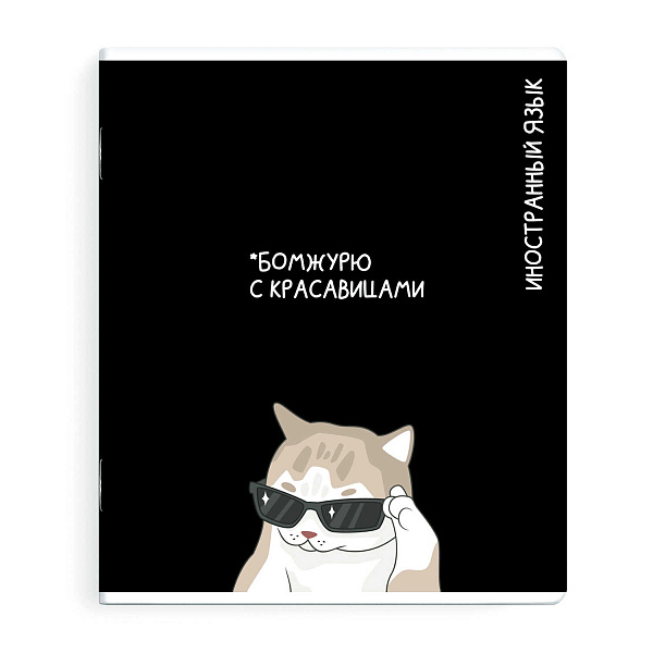 Тетрадь предметная "КОТЫ МЕМЫ" ИНОСТРАННЫЙ ЯЗЫК /48 л., А5+, вн.блок - клетка, белый офсет, мягкий переплёт (2 скобы), облож.- мелованный картон 190 г/м², выборочный ТВИН УФ-лак, Подкла