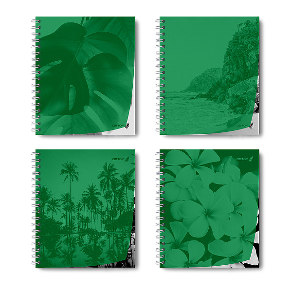 Тетрадь 48 л. кл. на гребне пластик. обложка "Утренний пейзаж, зелёная" ч/б запечат. титульн.лист, 180 мкм., A5 65 г/кв.м , белизна 100%. 01548 "Светоч"