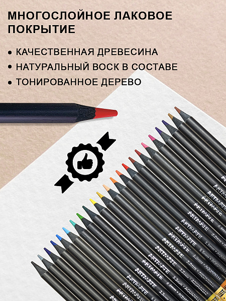 Карандаши 24 цв. акварельные ACMELIAE Blackwood +кисточка, металл футляр