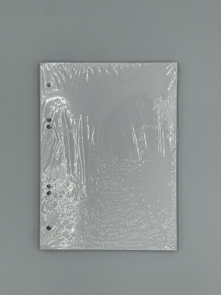 Сменный блок для тетрадей на кольцах А5, 80 листов, клетка, блок офсет, 60 гр/м, белизна 100%