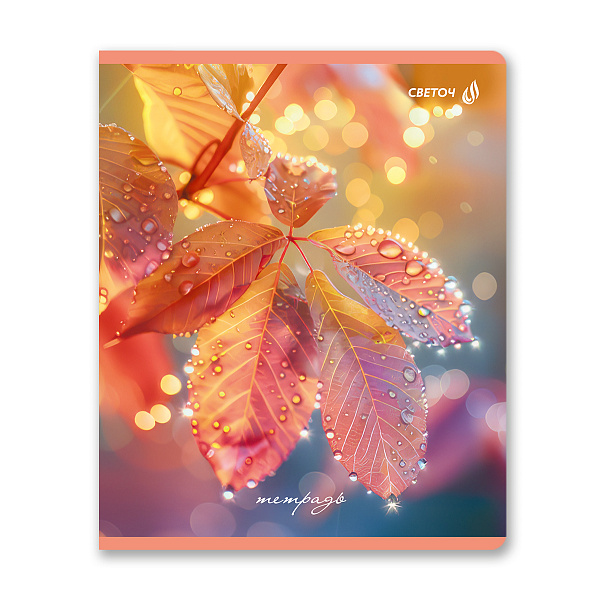 Тетрадь 48 л. кл. "Капли росы" выборочный лак, A5 на скобе 65 г/кв.м, белизна 100 % 01490 "Светоч"