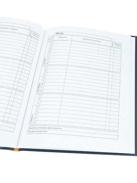 Дневник 1-4 кл. 48 л. тв.переплет "СУПЕРЗВЕРЁК" выб.лак