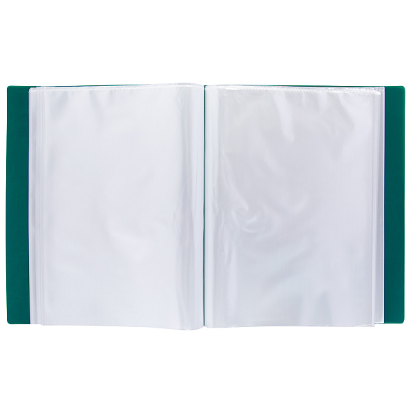 Папка 80ф "Expert Complete" Premier A4 700 мкм 25 мм волокно зеленый new