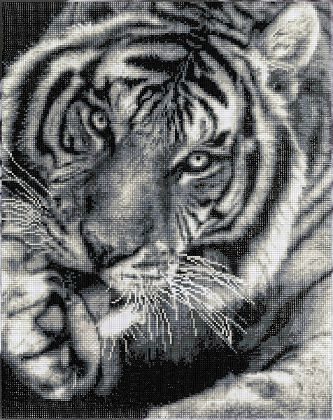 Алмазная мозаика 40*50 "ФРЕЯ" на подрамнике "Черно-белый тигр"