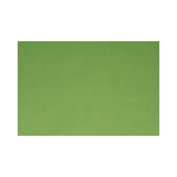 Бумага для пастели 500*650 "Tiziano" Фисташковый,160г/м.кв ЦЕНА ЗА 1ЛИСТ (10л)