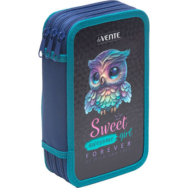 Пенал 3секц. д/дев. 205*120 "deVENTE. Happy Owl" для 50 пр. картон,покр.фольга