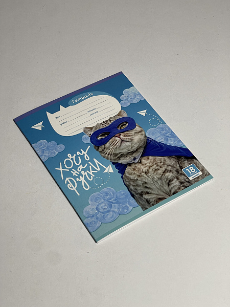 Тетрадь 18 листов в линию "Котики" обложка из мелованного картона(200 г/м²) блок офсет 60 г/м², 92%, микс 5 вид