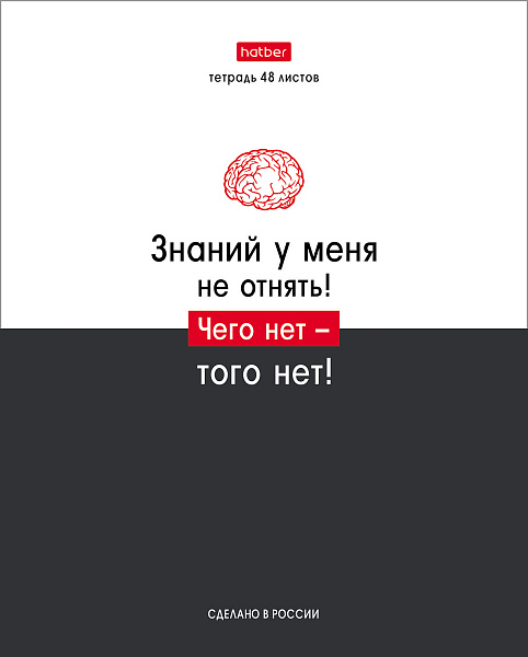 Тетрадь 48 л. кл. "Люблю школу" 65г/кв.м 10 дизайнов в коробе 