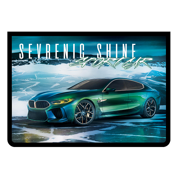 Папка для тетрадей А4 молния сверху "CAR'S SHINE" печать на пластике