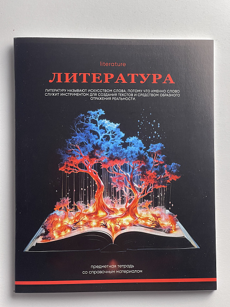 Тетрадь предметная 48 листов "Ассоциации"  Литература, со справочным материалом, обложка мелованный картон, блок офсет