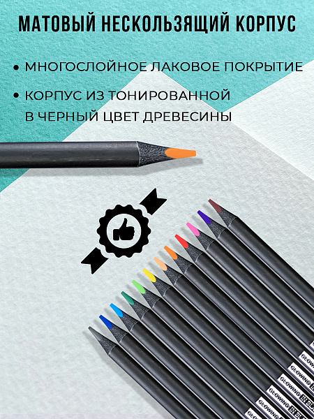 Карандаши 12 цв. ACMELIAE трехгранне в картонном футляре,