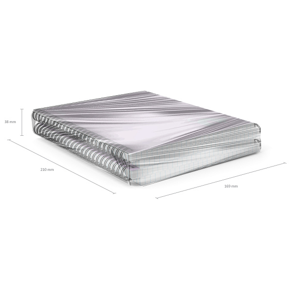 Тетрадь с пластиковой обложкой на спирали ErichKrause Brave cats, фиолетовый, A5 80 л. кл.