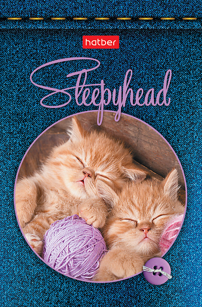 Блокнот А7 48 л. 65х100 мм, 3-х цв. блок на клею "Сони-засони"