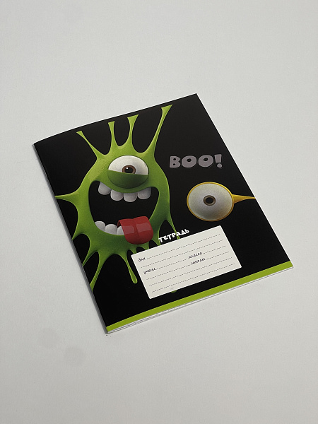 Тетрадь 12 листов в клетку обложка из мелованного картона (200г/м2), блок офсет (92%, 60г/м2), микс 5 видов