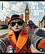 Тетрадь 48 листов в клетку "CatVoyage", глянцевая ламинация ErichKrause  _MIX-PACK 