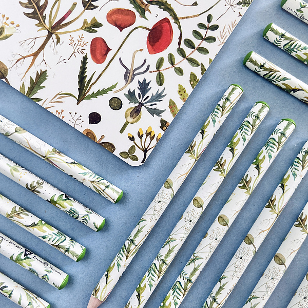 Карандаш ч/г "HappyGraphix Jumbo. Луговые травы" 4В, 3.5 MM