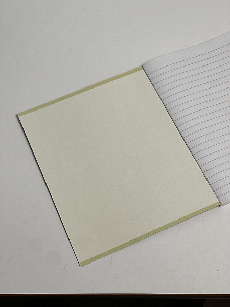 Тетрадь 48 листов, линейка, обложка мелованный картон, блок офсет, синяя