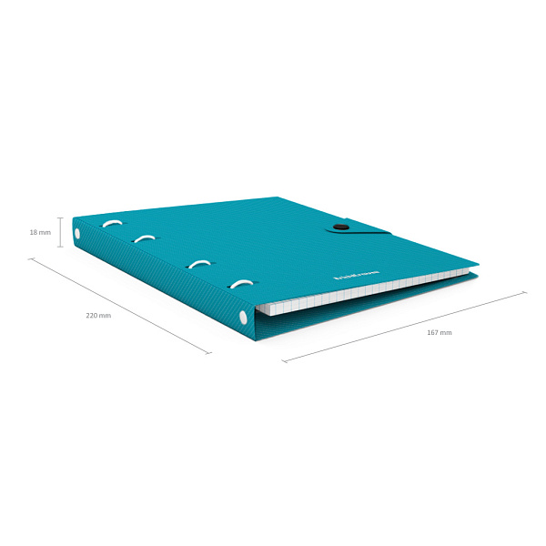 Тетрадь 80 листов в клетку пластиковая обложка на кольцах ErichKrause® Glance Vivid, на кнопке ассорти