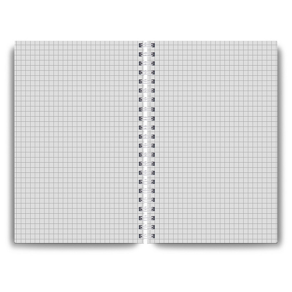 Тетрадь A4 80 л. кл. на гребне "Формула движения" 65 г/кв.м , белизна 100 %  01229  "Светоч"