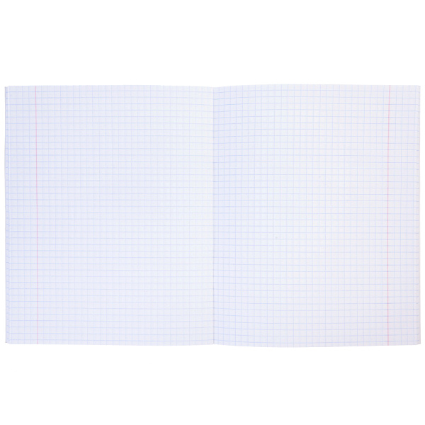 Тетрадь 48 листов в клетку Обл. Бумвинил тиснение КРОКО  МЕТАЛЛИК серия  Серебро 60-65г/кв.м на скобе 