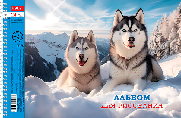 Альбом д/рис. 24 л. на спирали "Ассорти- Выпуск №3" перфорация на отрыв 5 диз.в блоке 