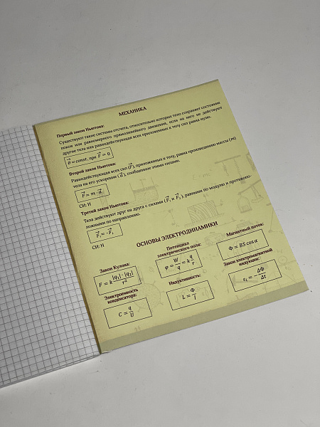 Тетрадь предметная 48 листов  "Фразочки"  Физика, со справочным материалом, обложка мелованный картон, блок офсет