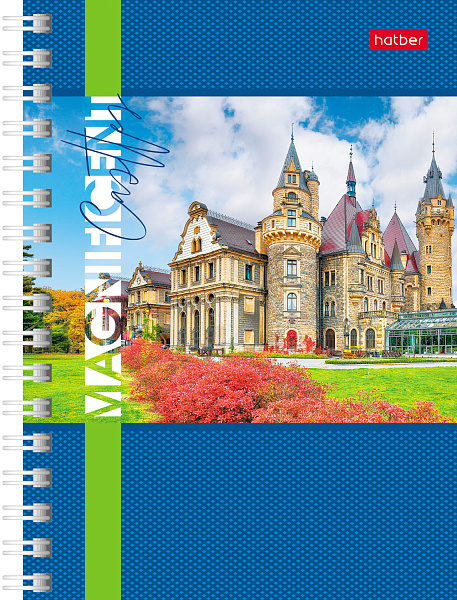 Записная книжка А6 140 л. кл. на гребне "Великолепные замки"