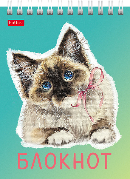 Блокнот А6 40 л. кл. на гребне "Котики бывают разными" Обл. мел.картон УФ-лак
