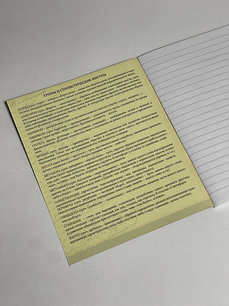 Тетрадь предметная 48 листов  "Фразочки"  Литература, со справочным материалом, обложка мелованный картон, блок офсет