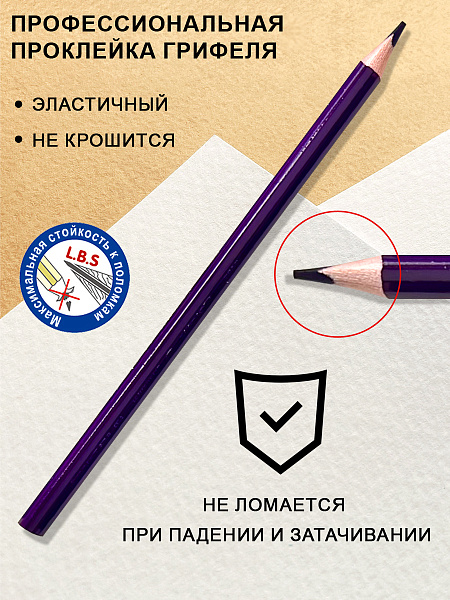 Карандаши 12 цв. Acmeliae Ultra Soft Набор цветных мягких,  в картонном футляре
